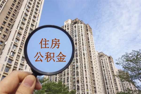 韶关公积金离职了怎么全部取出来（韶关公积金离职了怎么全部取出来呢）