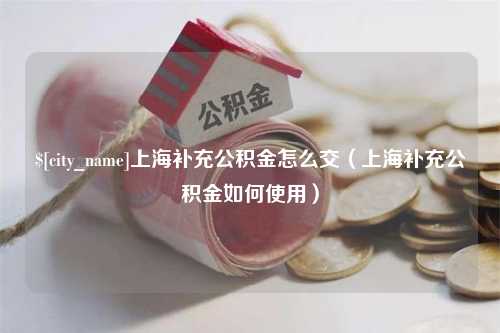 海丰上海补充公积金怎么交（上海补充公积金如何使用）